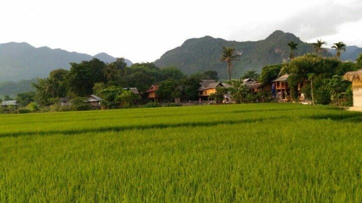 Lu'S Homestay ماي تشاو المظهر الخارجي الصورة